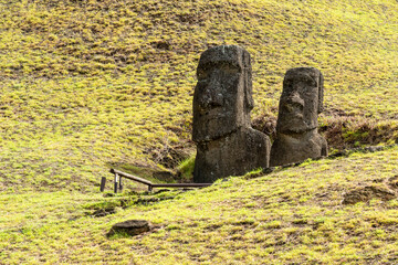 Moai heads on the slope of Rano Raraku on Easter Island (Rapa Nui),  Chile. Raraku is commonly...