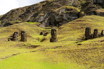  Moai heads on the slope of Rano Raraku on Easter Island (Rapa Nui),  Chile. Raraku is commonly...