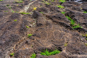 Petroglyph of birdman carved on the lava rock at the restored ceremonial site of Ahu Tongariki on Easter Island (Rapa Nui), Chile.