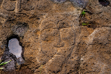 
Petroglyph of face carved on the lava rock at the restored ceremonial site of Ahu Tongariki on...