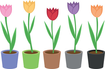 A set of cartoon flower pot with tulip flowers. Flat tulip flower vector illustration.