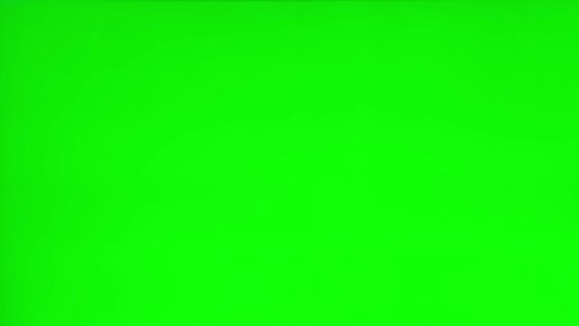 Tabby cat on green screen isolated with chromakey, real shot. Close-up portrait of angry cat hissing and raising up two paws on the green screen. Feline with open mouth, muzzle close up. Says meow.