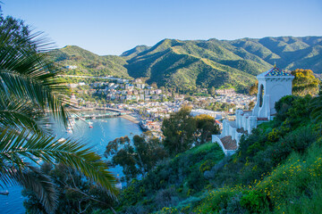 Fototapeta premium view of the city in Catalina Island