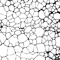 Grunge background from like cracked sand in the desert or earth faults or sea foam from black thin lines of cobwebs on a white background