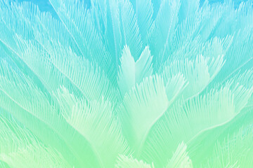 Summer light background of green and blue color palm trees 