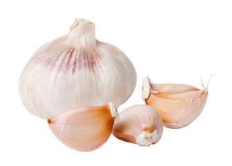 garlics on transparent background. png file
