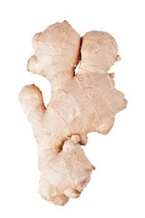 ginger on transparent background. png file
