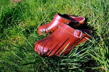 clogs on the grass
