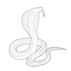 Fototapeta premium Vector sketch of a snake. Line art of a cobra. Illustration of a snake for a tattoo, logo.