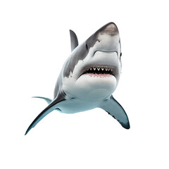 great shark PNG file on transparent background Easy for assembling in projects. generative AI