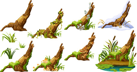 Cartoon broken tree in moss in swamp jungle. Stump with liana branches, ivy, cattails, bulrush. Log in honey mushrooms, under snow, with fungus. Isolated vector elements game on white background.
