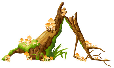 Honey mushrooms, moss  on logs, stumps. Cartoon oak in lichen and toadstools in swamp forest. Broken tree in tropical damp jungle. Isolated vector element on white background.