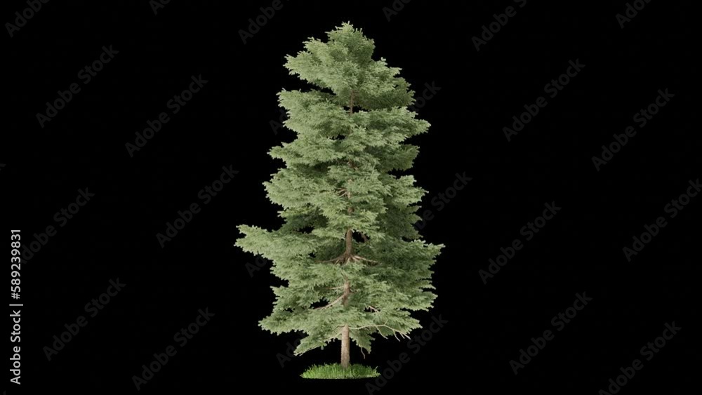 Poster tree animation footage mini storm transparent background for background and environment footage replacement , 3d illustration rendering