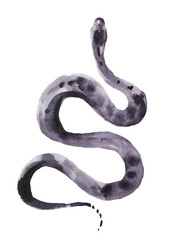 Fototapeta premium Black snake. Viper reptilian animal. Watercolor realistic illustration
