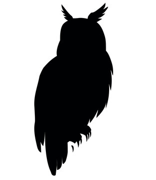 owl sitting vector silhouette black one