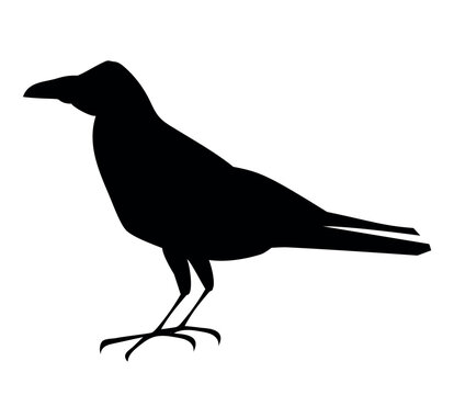 raven vector silhouette black one