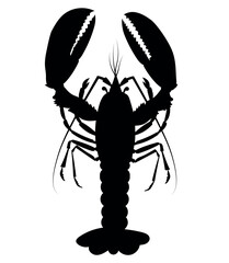 crayfish vertical vector silhouette black one