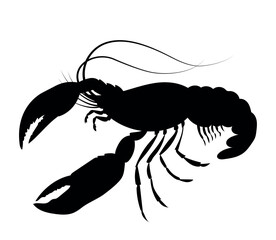 crayfish horizontal vector silhouette black one