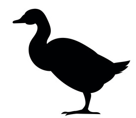silhouette of a duck