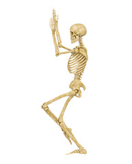 skeleton is doing a namaste yoga pose
