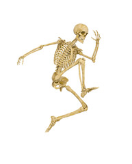 skeleton is jumping in action