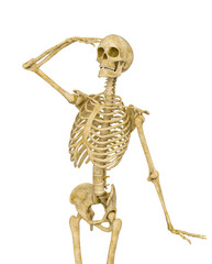 skeleton is looking up