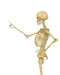 skeleton is pressing a virtual button in side view