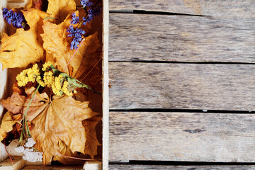 Yellowed maple foliage and dried wildflowers in wooden box on wooden boards.