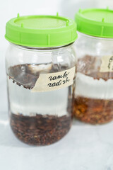 Growing sprouts in a jar