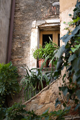 Fototapeta na wymiar A typical Italian architecture - a small wooden window in a stone home with a lot of plants, herbs, and flowers (aloe vera, oregano, basil, rhododendron) in a small village