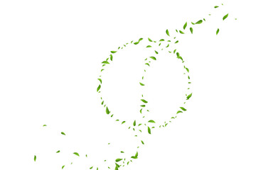 Fototapeta premium Swamp Leaf Organic Vector White Background