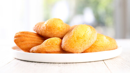Homemade madeleine cake on plate