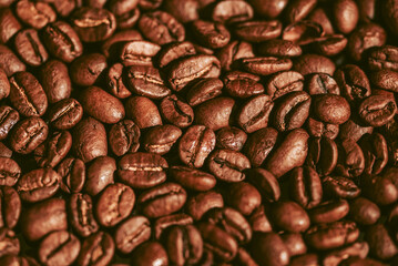 roasted coffee beans