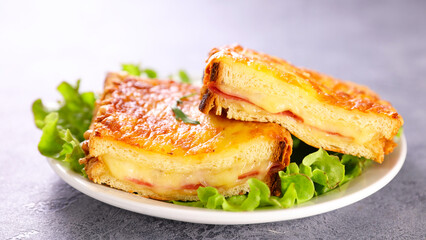 Grilled cheese sandwich and salad- croque monsieur