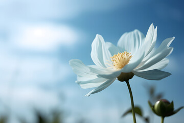 Single flower in the soft blue sky. Generative ai.