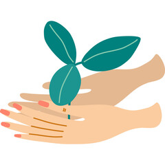 Hand holding sprout. Spring saplings. Home gardening and plant care concept. Save nature.