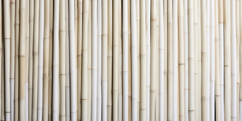 White bamboo fence. Wooden texture. Abstract background. Generative AI