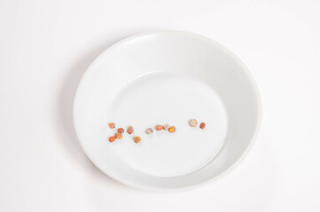 いいずな戸隠大根の種