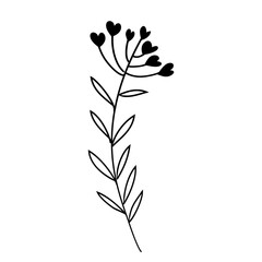botanical leaf doodle wildflower line art