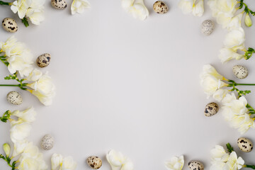Naklejka na ściany i meble Happy Easter floral frame. White flowers, natural quail eggs on light grey background. Spring holiday composition. Fresh freesia and Easter eggs. Top view, flat lay, copy space. Blooming layout.