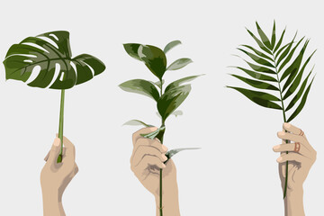 Fototapeta na wymiar Set of green leaves in female hand. Monstera leaf, Palm leaf, Ruscus branch. Flat illustration