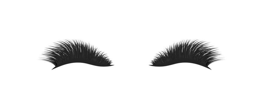 Eylashes vector Illustration. Extra full false lashes with 3d effect. Good choice for lashmaking card, logotype, training posters, beauty salon wallpaper. isolated on a white background.