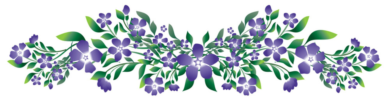 Branches de fleurs de pervenche bleu avec feuillage vert sur fond transparent