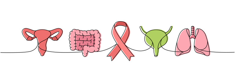 Reproductive system, intestines, bladder, lungs one line colored continuous drawing. Cancer awareness ribbon continuous one line colorful illustration