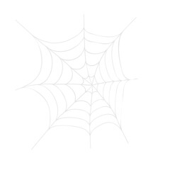 Halloween Spider Web