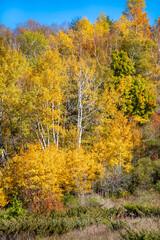 Fototapeta premium Potawatomi State Park