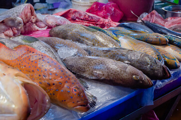 Fresh fish close up at the seafood market