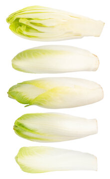 Chicory salad isolated on white background with clipping path and full depth of field.