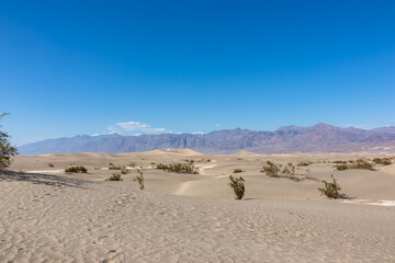 Fototapeta na wymiar Panoramic view on Mesquite Flat Sand Dunes in Death Valley National Park, California, USA. Looking at dry Mojave desert on hot sunny summer day with Amargosa Mountain Range in the back. Landscape