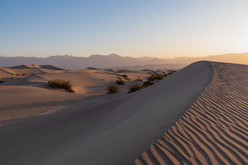 Panoramic view on natural pattern in sand during sunrise at Mesquite Flat Sand Dunes, Death Valley...